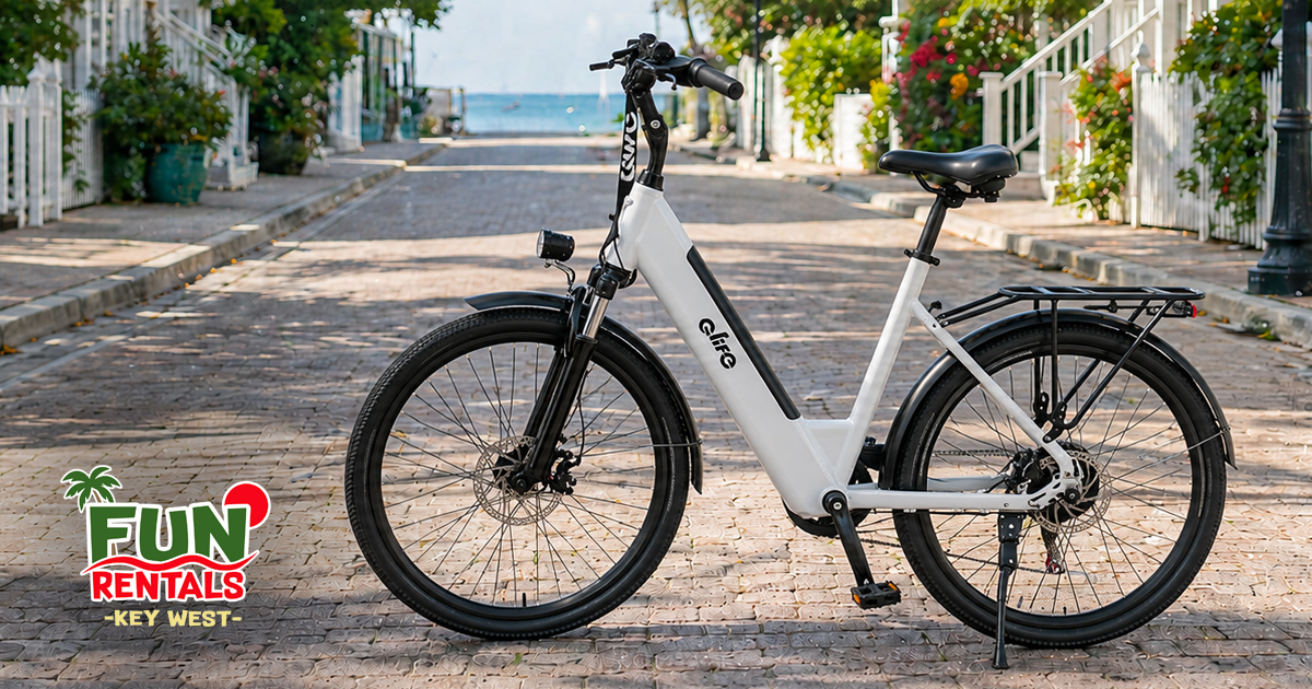 shop electric bicycles deals Boogie Bike Cruiser | Bike Assembled in the US Black / 24