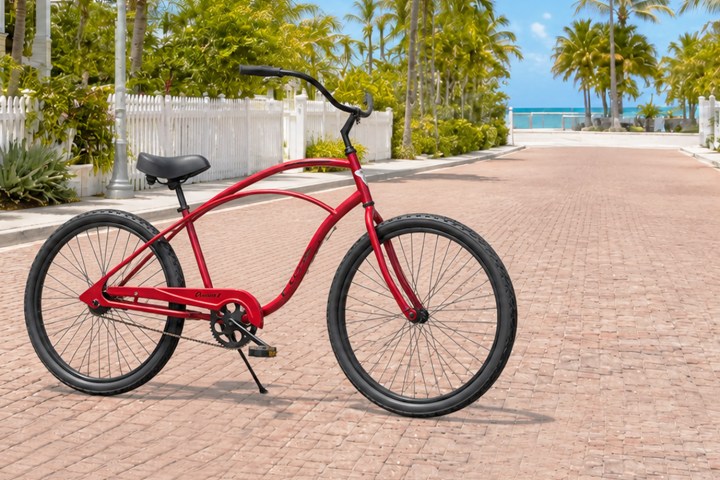 Red bicycle on a brick path with palm trees and ocean in the background.